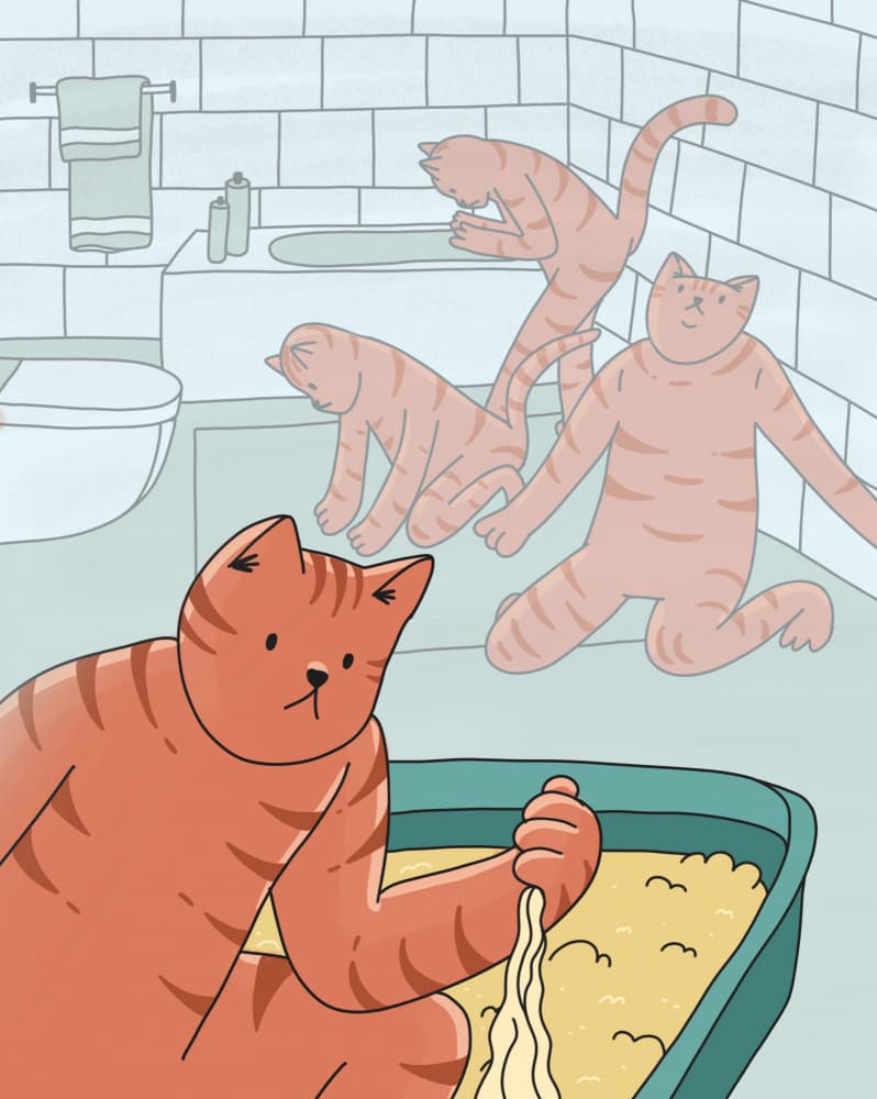 Cat's Past Lives