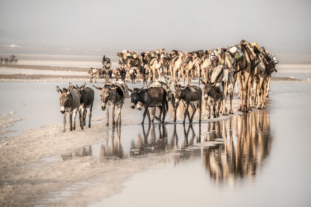 Salt Flats Caravan by Trevor Cole — canvas wall art