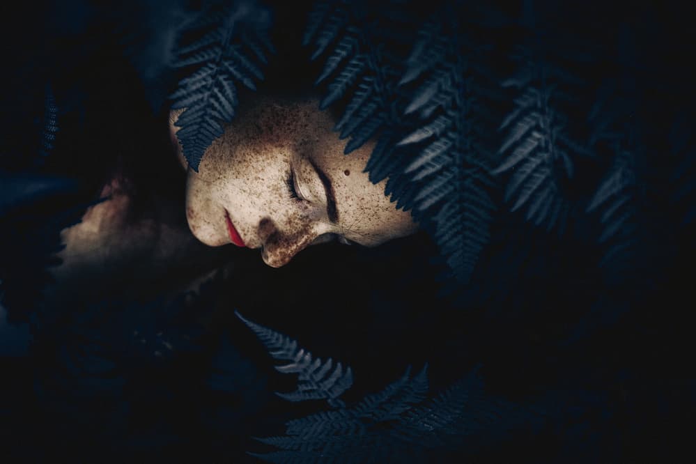 Sleeping Face In Ferns by Ruslan Bolgov — canvas wall art