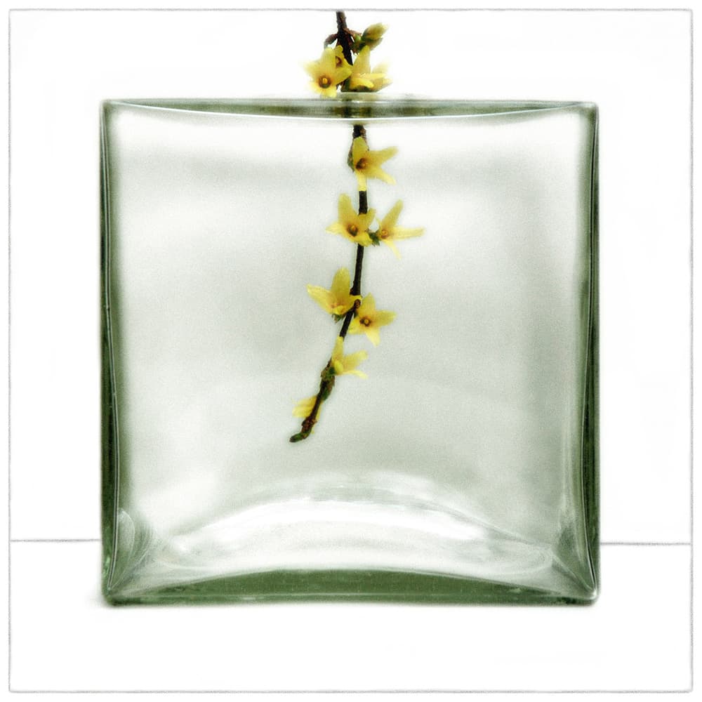 Floating Yellow Flowers by Huib Limberg — canvas wall art