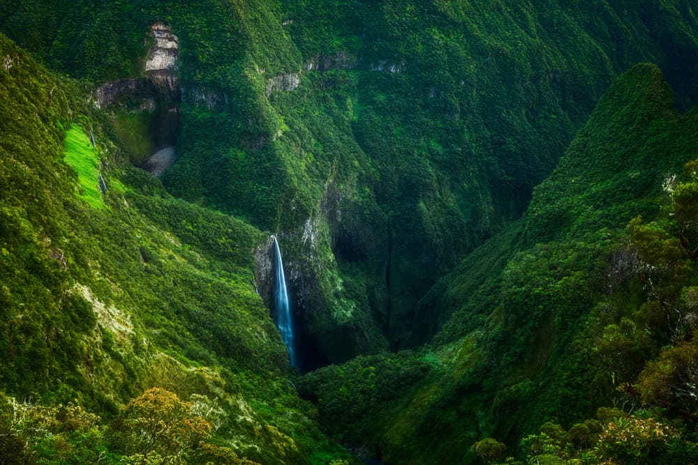 Lush Valley Waterfall by Barathieu Gabriel — canvas wall art
