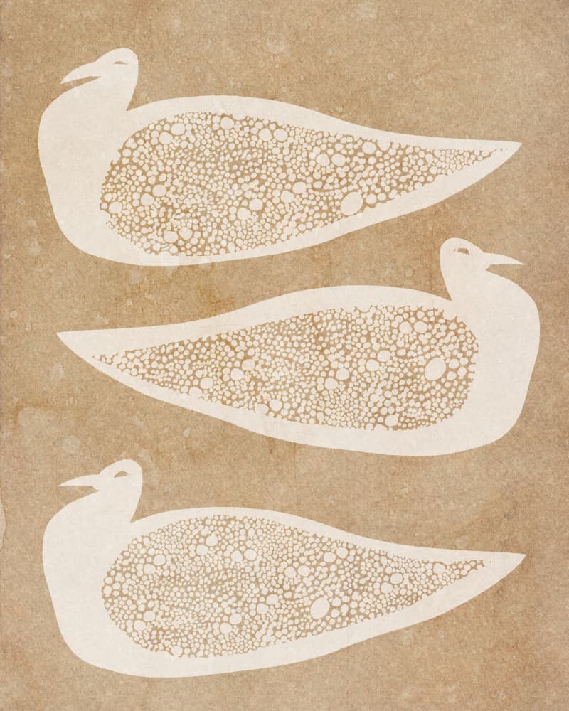 Earthy Patterned Birds by Josie George — canvas wall art
