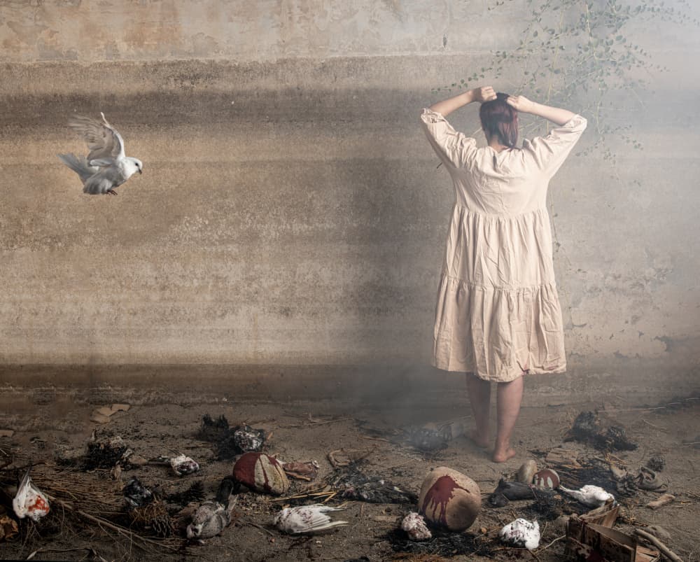 Woman and Desolate Birds by Hooman Sedaghi — canvas wall art
