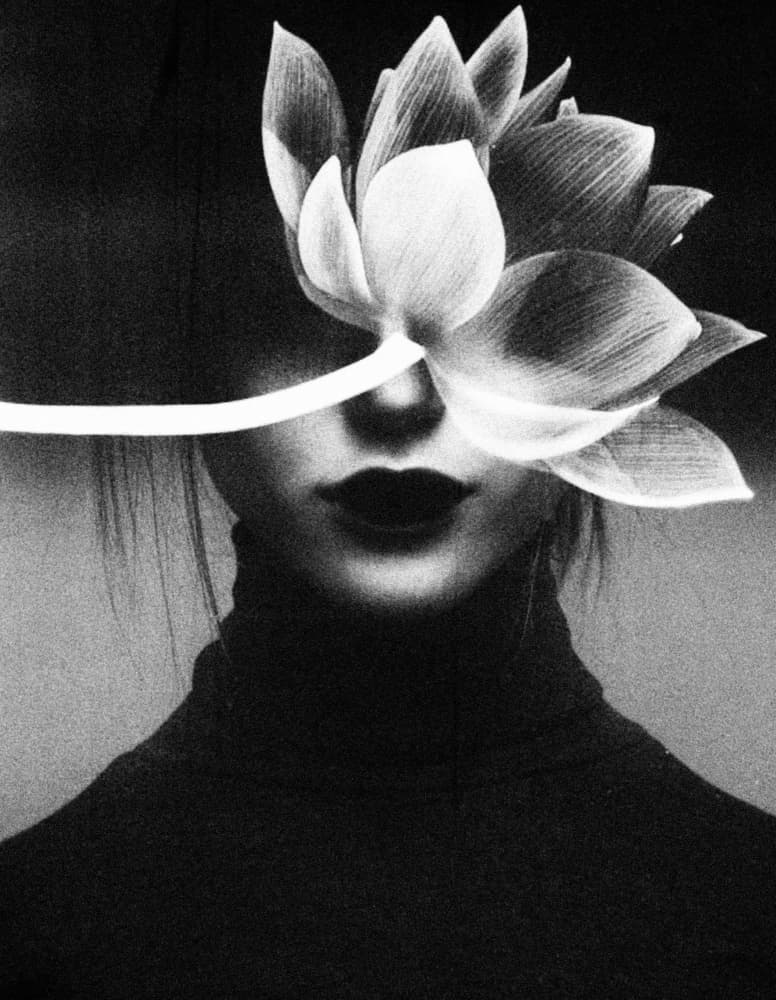 Elegant Lotus Portrait by Ingrida Urbonavičienė — canvas wall art