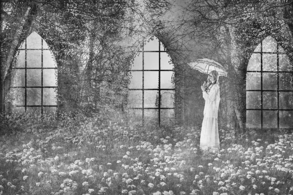 Dreamy Garden Umbrella by Eiji Yamamoto — canvas wall art