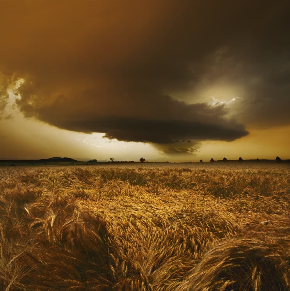 Lightning Over Wheat Field by Nicolas Schumacher — canvas wall art