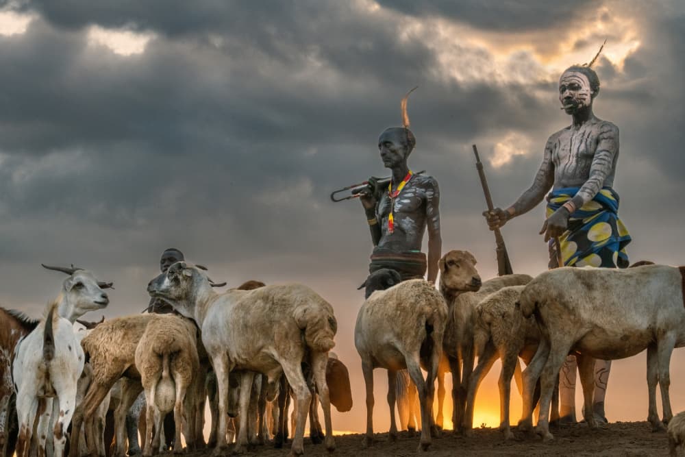 African Herders Sunset by Trevor Cole — canvas wall art