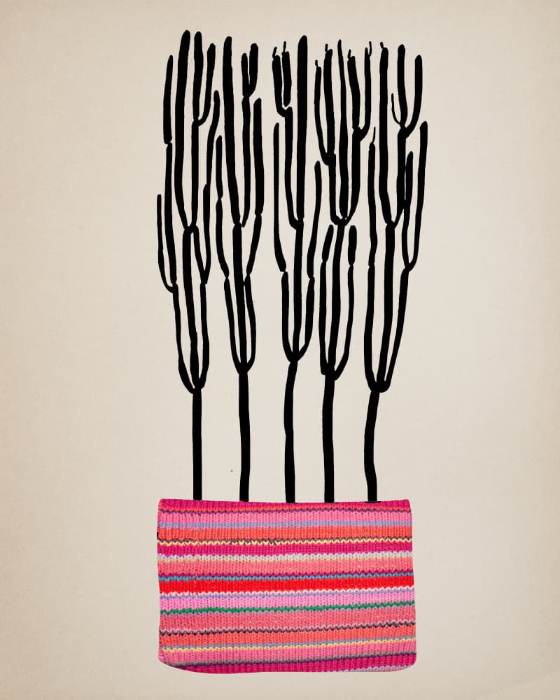 Vibrant Cactus Stripes by Diana Jahns — canvas wall art