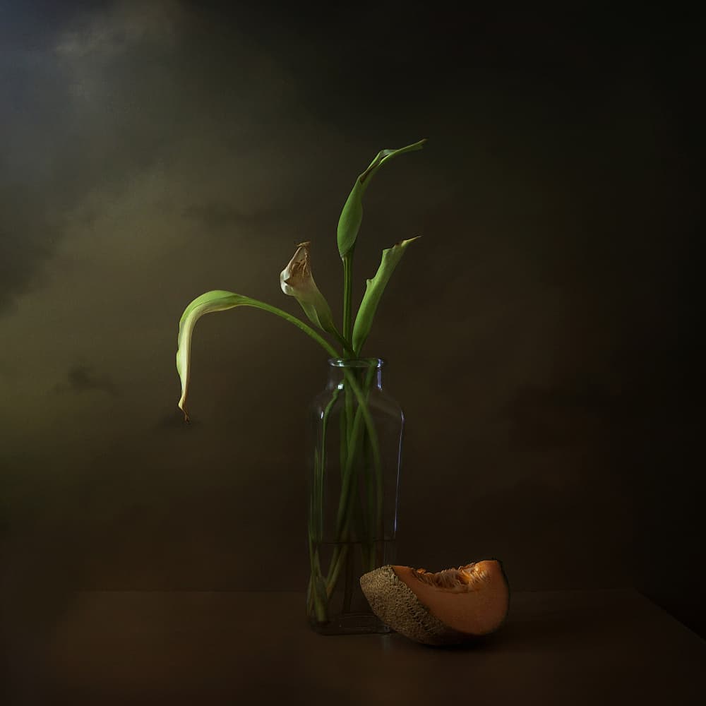 Wilted Lilies and Melon by Margaret Halaby — canvas wall art