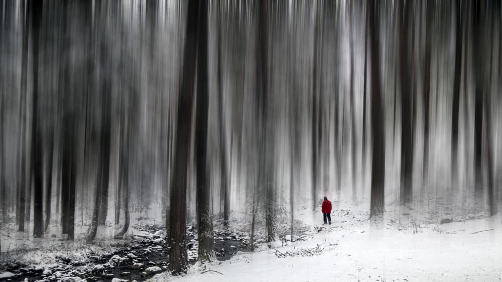 Red Figure Winter Forest by Zühdü Bilgin — canvas wall art