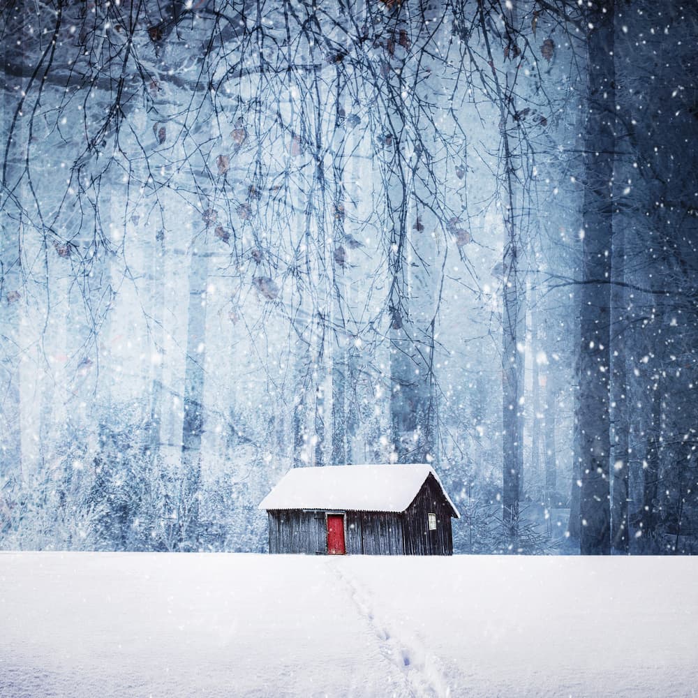 Red Door Winter Cabin by Bess Hamiti — canvas wall art