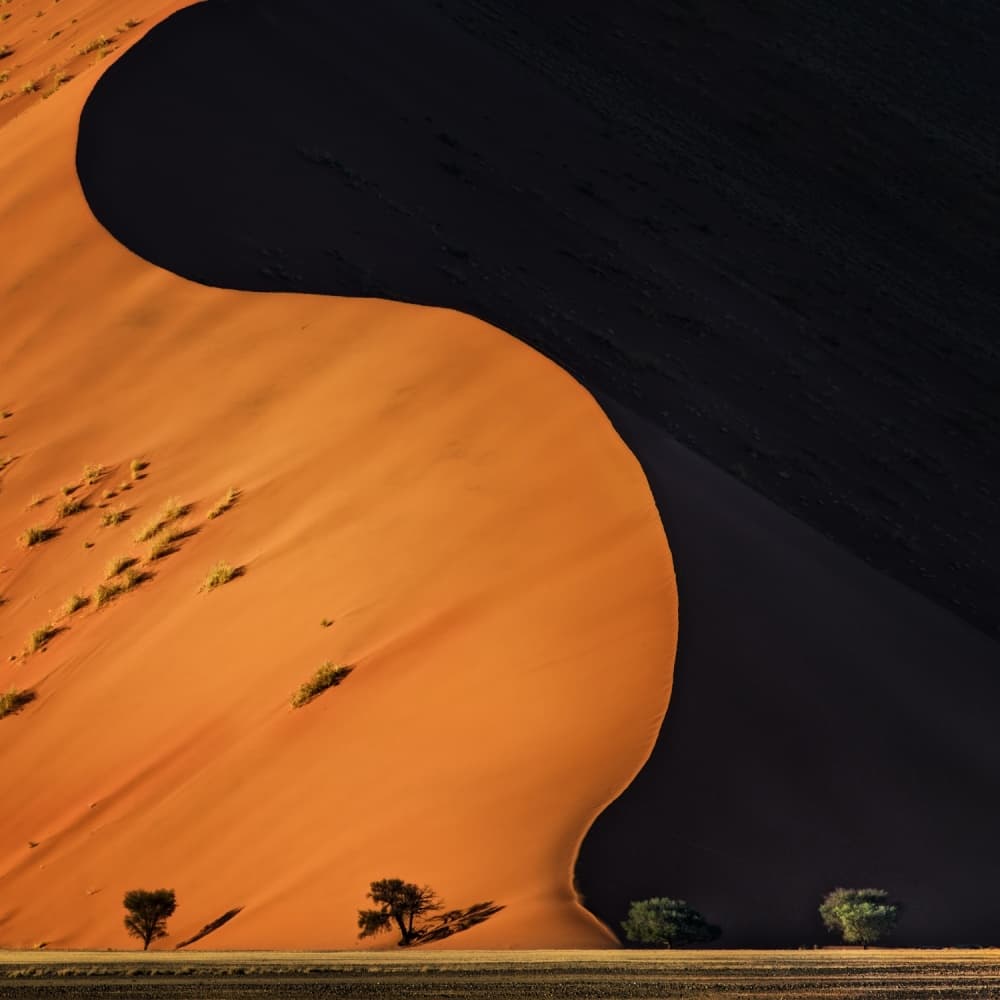 Orange Dune Shadows by Piet Flour — canvas wall art