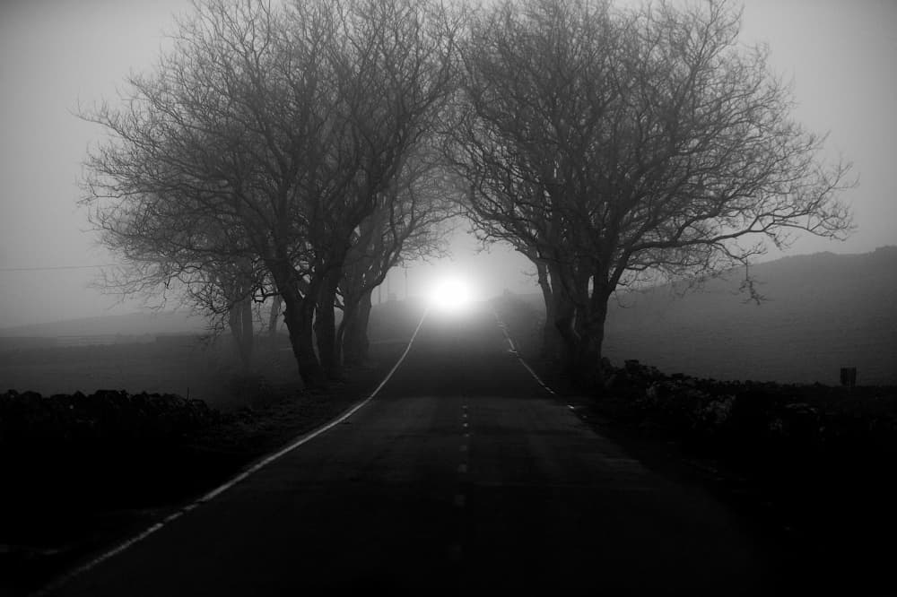 Foggy Road Light by Rui Caria — canvas wall art