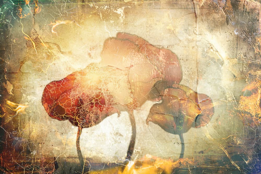 Dreamy Vintage Tulips by Rafal Kulik — canvas wall art