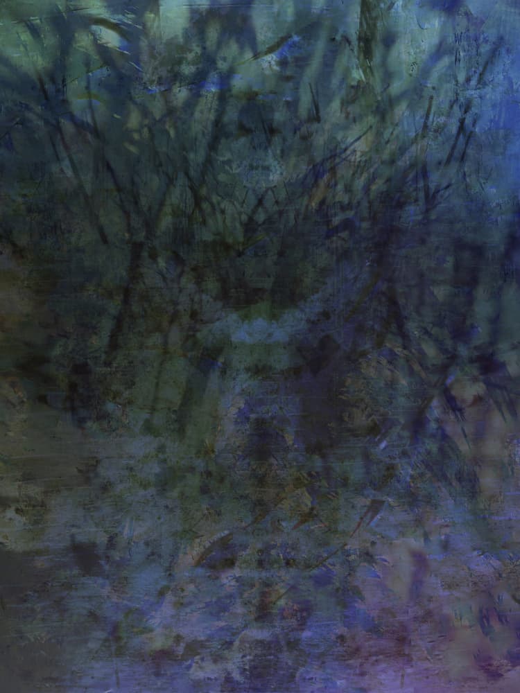 Moody Forest Abstract by Angelo Cerantola — canvas wall art