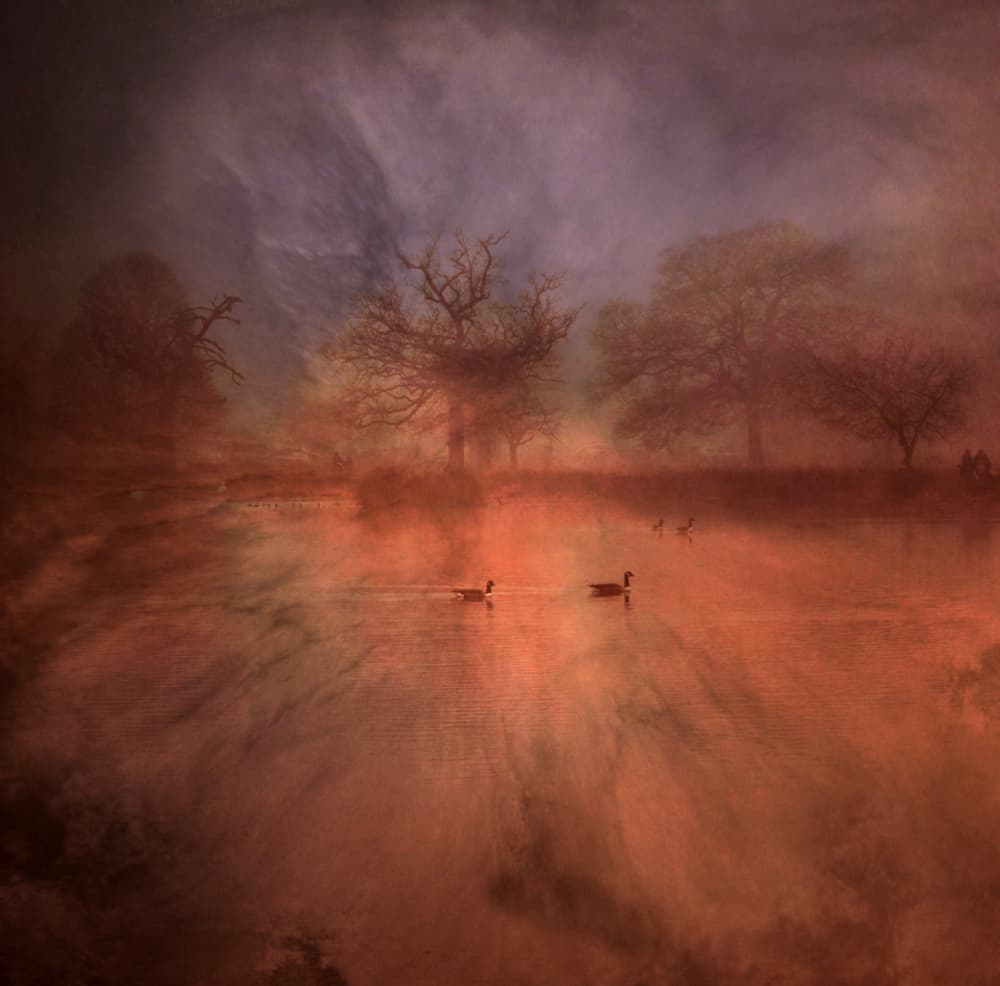 Orange Misty Lake Geese by Robert Fabrowski — canvas wall art