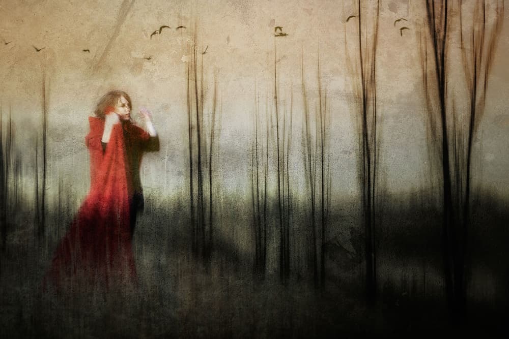 Woman In Red Forest by Charlaine Gerber — canvas wall art
