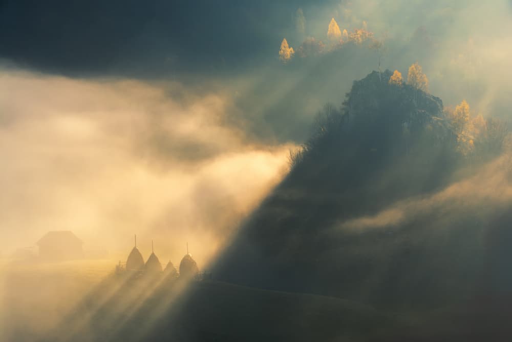Golden Rays Through Morning Fog by Haim Rosenfeld — canvas wall art