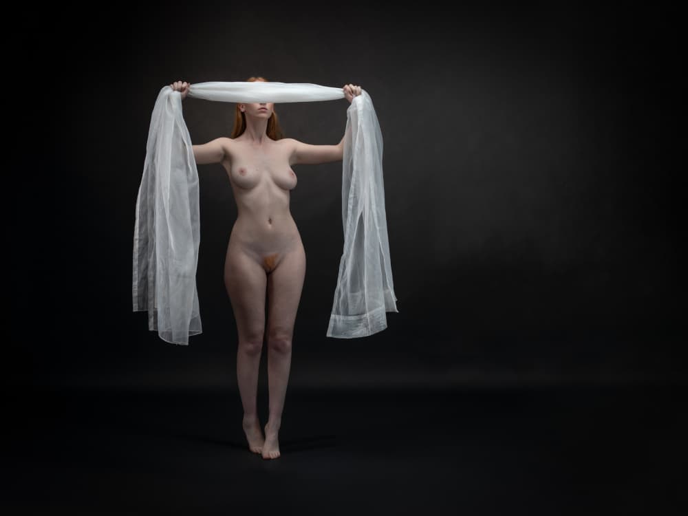 Hide behind my own window by Luc Stalmans — canvas wall art