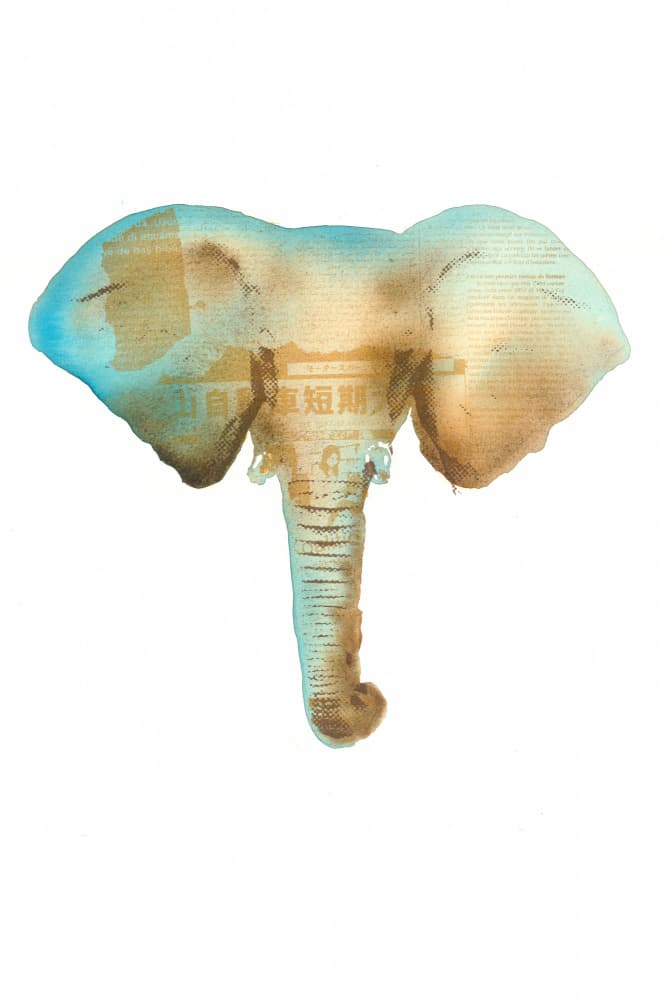 Dreamy Textured Elephant by Pia Lilenthal — canvas wall art