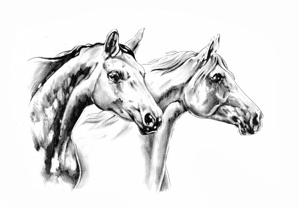 Two Elegant Horses by Kulik — canvas wall art