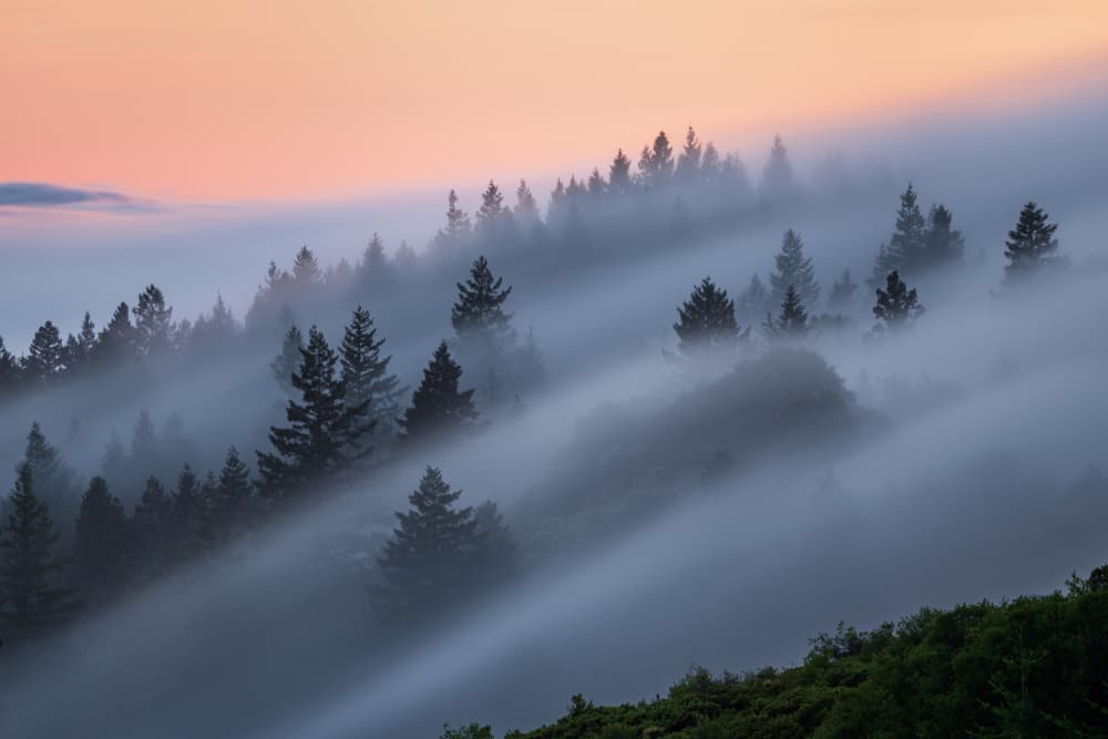 Misty Mountain Morning by Ryan Li — canvas wall art