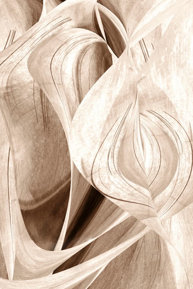 Elegant Flowing Curves by Christina Sillen — canvas wall art
