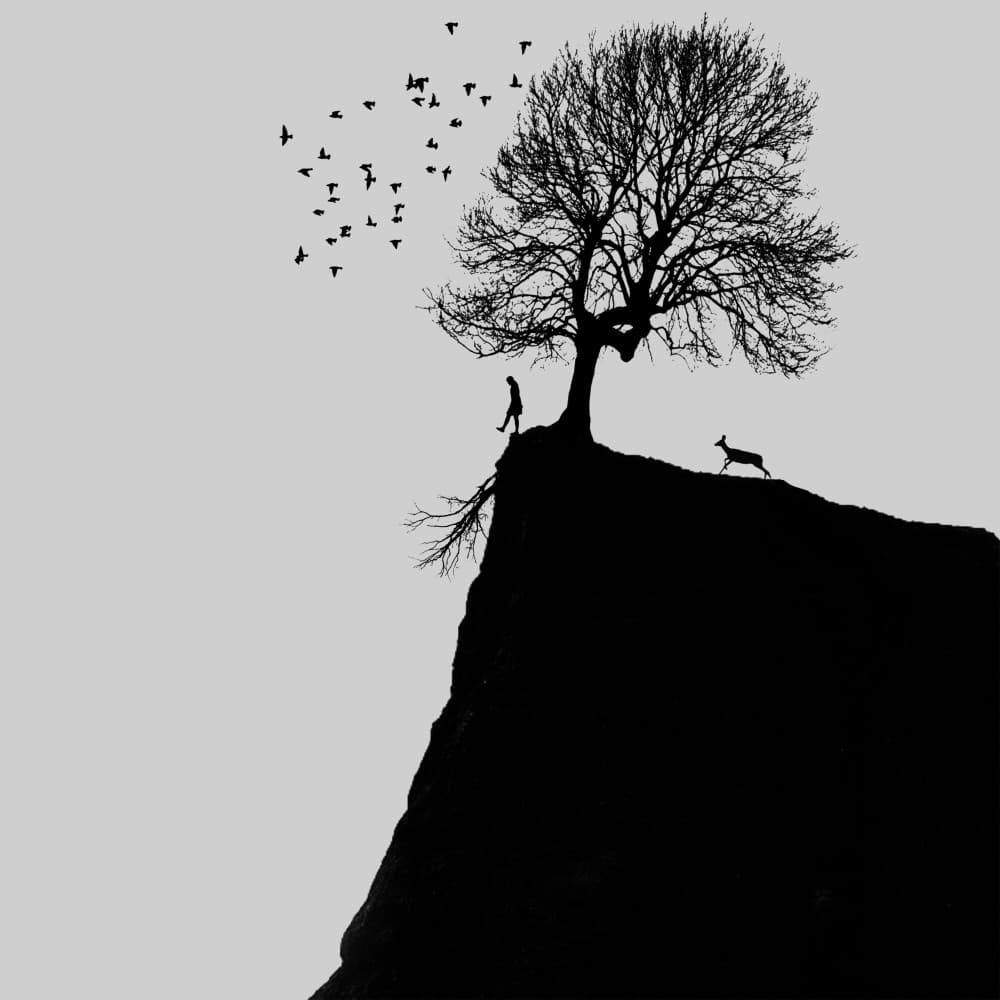 Solitary Cliff Journey by Hadi Malijani (Malenjani) — canvas wall art