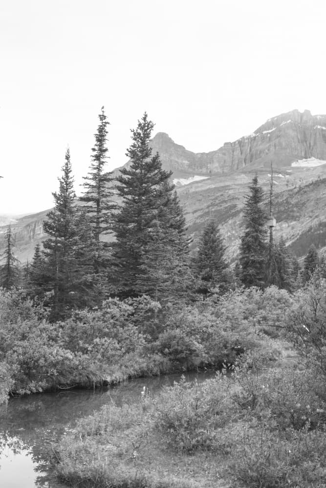 Alpine Mountain Stream by Lynann Colligan — canvas wall art