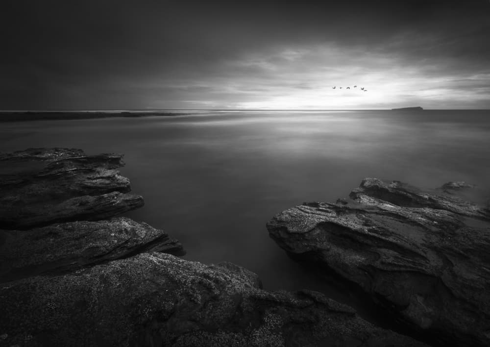 Serene Coastal Flight by Irene Wu — canvas wall art