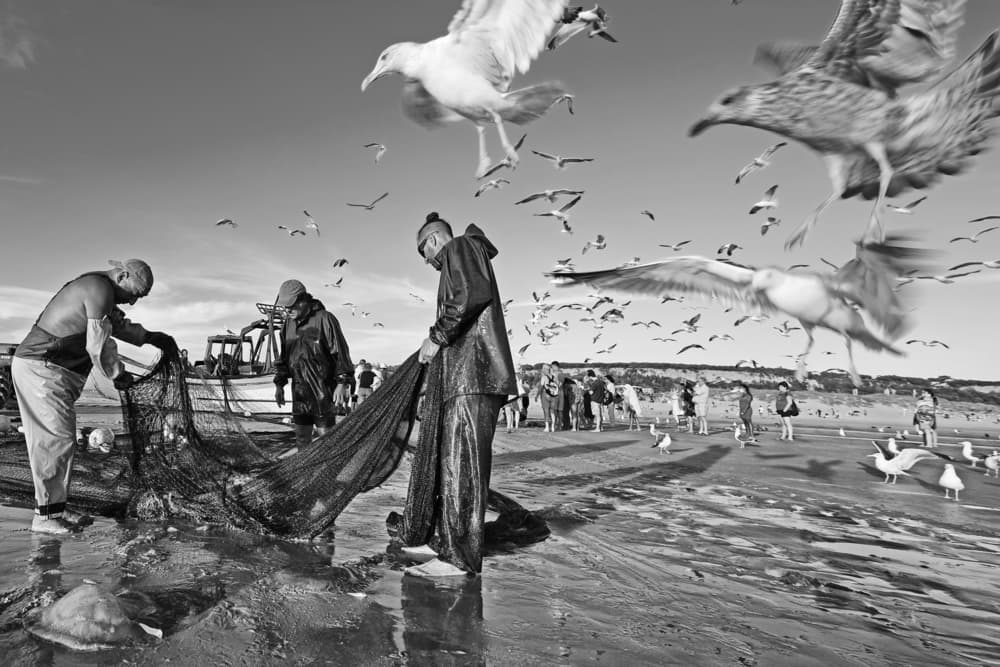 Fishermen And Seagulls by Josefina Melo — canvas wall art