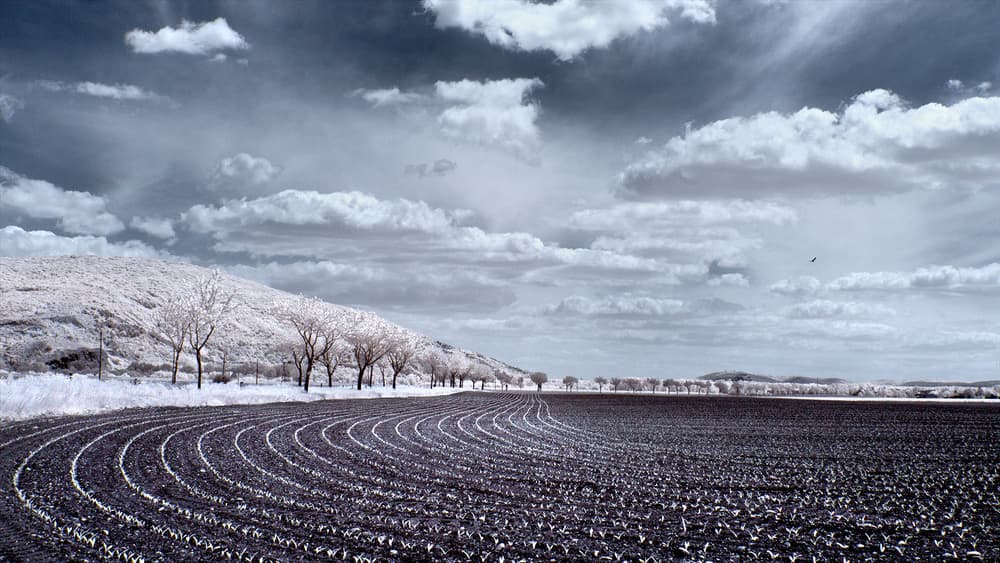 Ethereal Winter Field by Marcel Rebro — canvas wall art