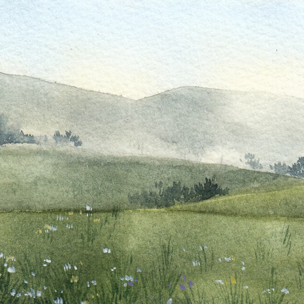Misty Green Hills by Saskia Michele — canvas wall art