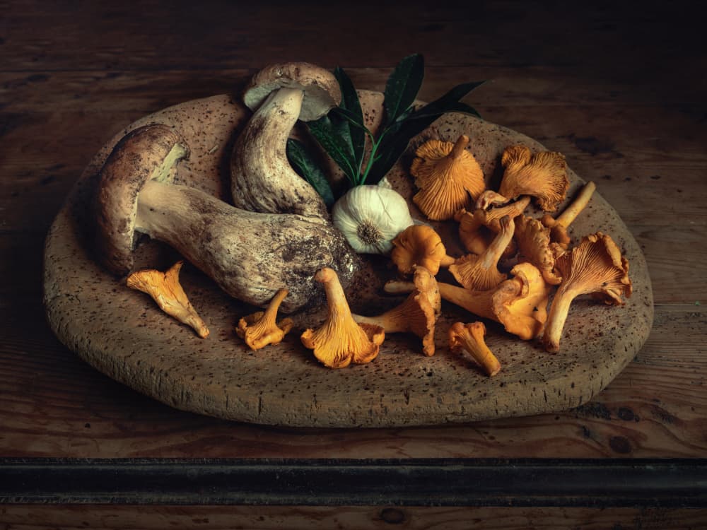 Rustic Mushroom Harvest by Christian MARCEL — canvas wall art