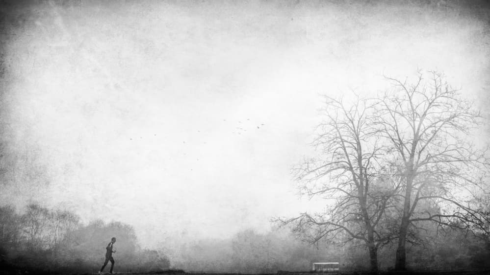 Misty Morning Runner by Nicodemo Quaglia — canvas wall art