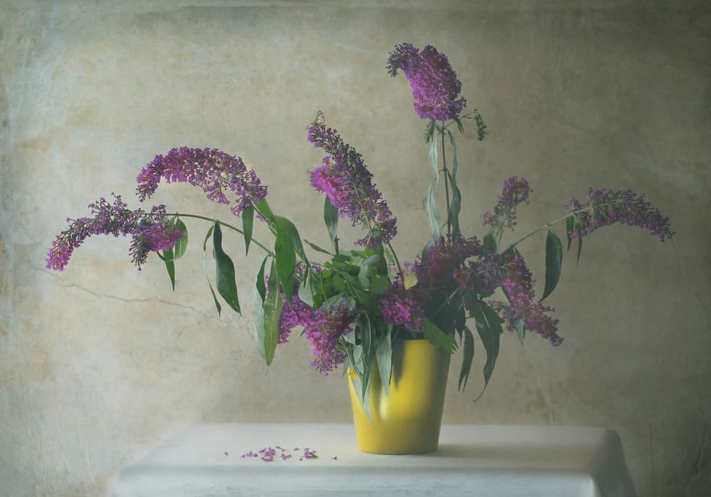 Rustic Floral Still Life by Delphine Devos — canvas wall art