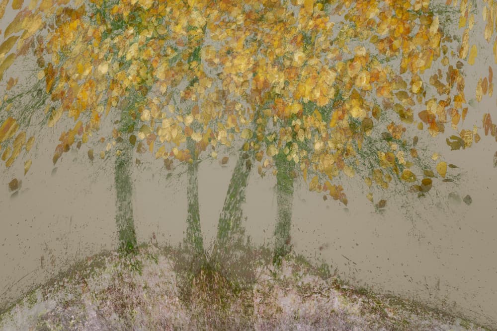 Blowing in the wind by Nel Talen — canvas wall art