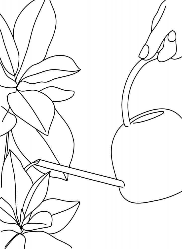 Hand Watering Plant by Rosana Laiz Blursbyai — canvas wall art
