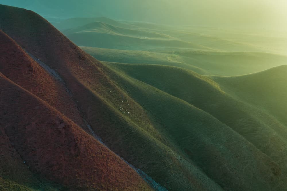 Serene Rolling Landscape by Simoon — canvas wall art