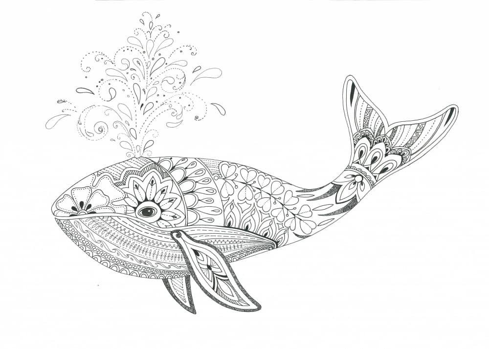 Whale Spout by Isabelle Brent — canvas wall art
