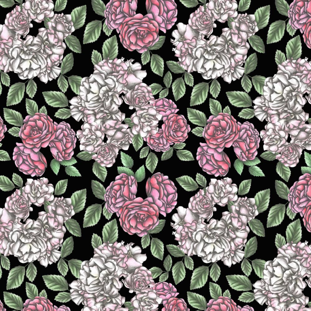 Pink and White Roses by Cecilia Battaini — canvas wall art