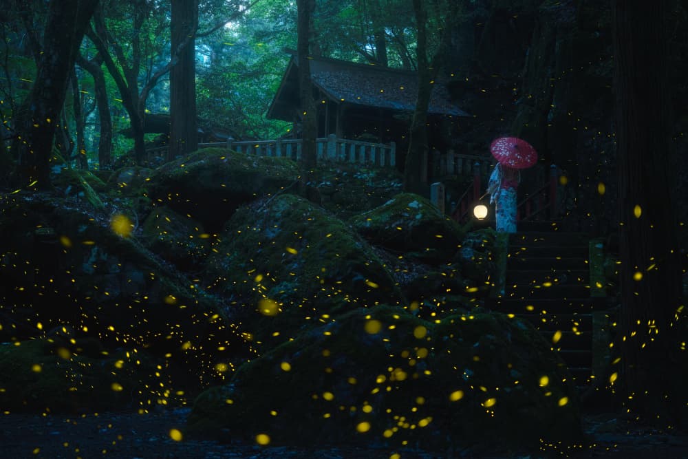 Enchanted Forest Fireflies by Vu van quan — canvas wall art