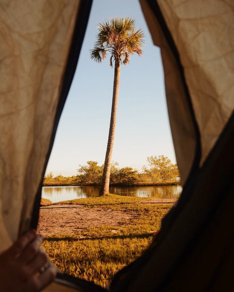 Palm Tree Tent View by Del Mundo Imagery — canvas wall art