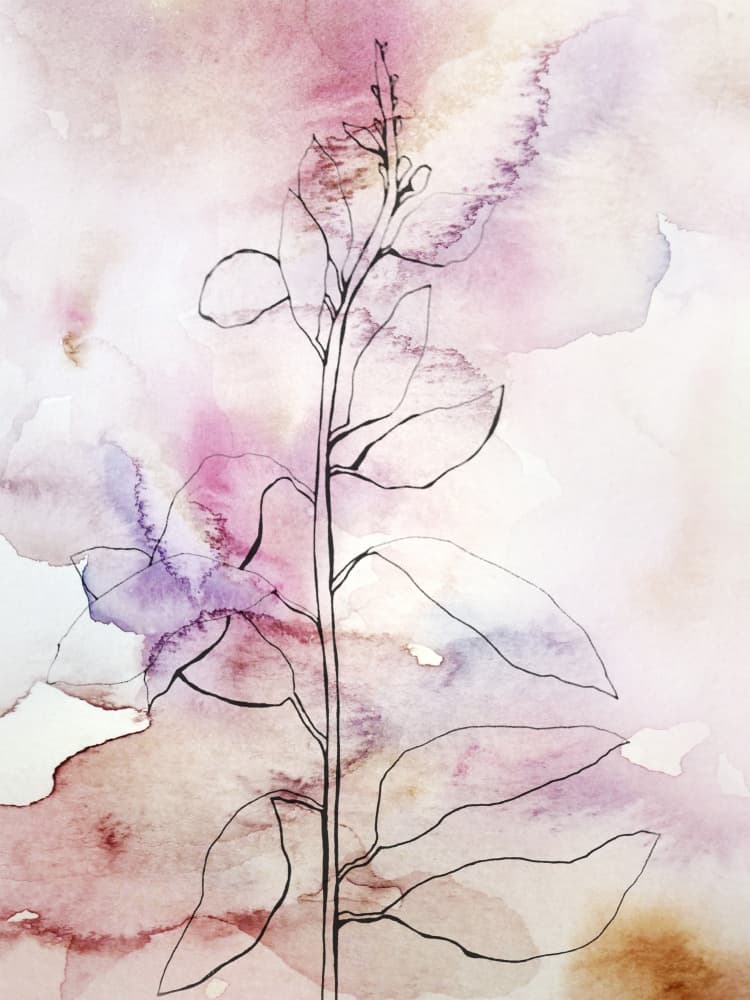 Pink Watercolor Botanical by Gemma Bardot — canvas wall art