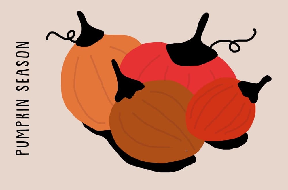 Autumn Pumpkin Season by Aylin Demir — canvas wall art