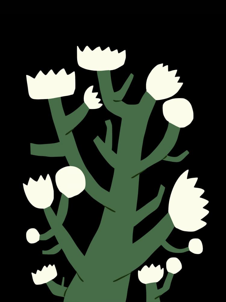 Abstract Botanical Blooms by Little Dean — canvas wall art