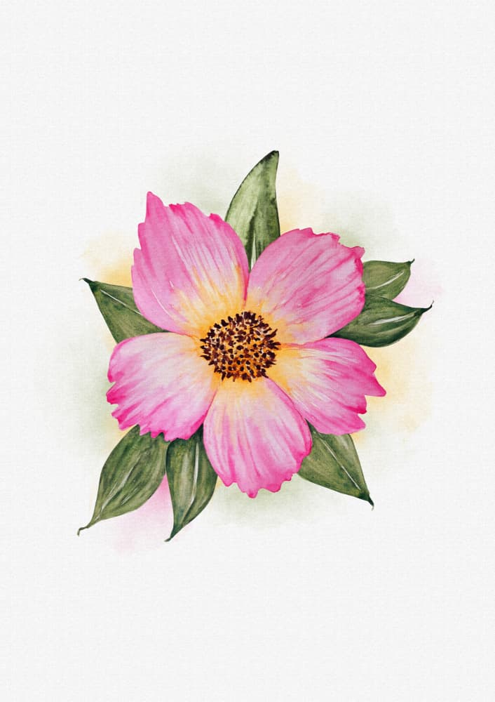 Pink Watercolor Bloom by Olena Kovalova — canvas wall art
