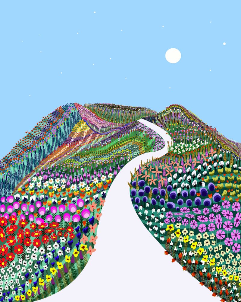 Winding Flower Mountain Path by Uma Gokhale — canvas wall art