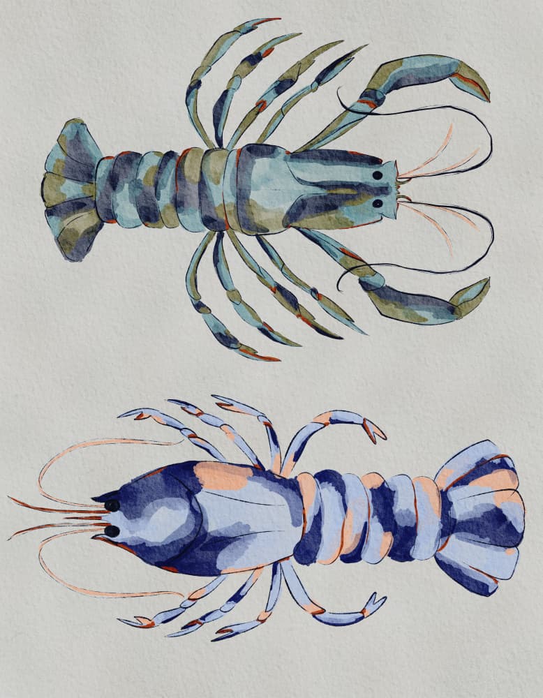 Blue Lobsters Watercolor by Nikita Jariwala — canvas wall art