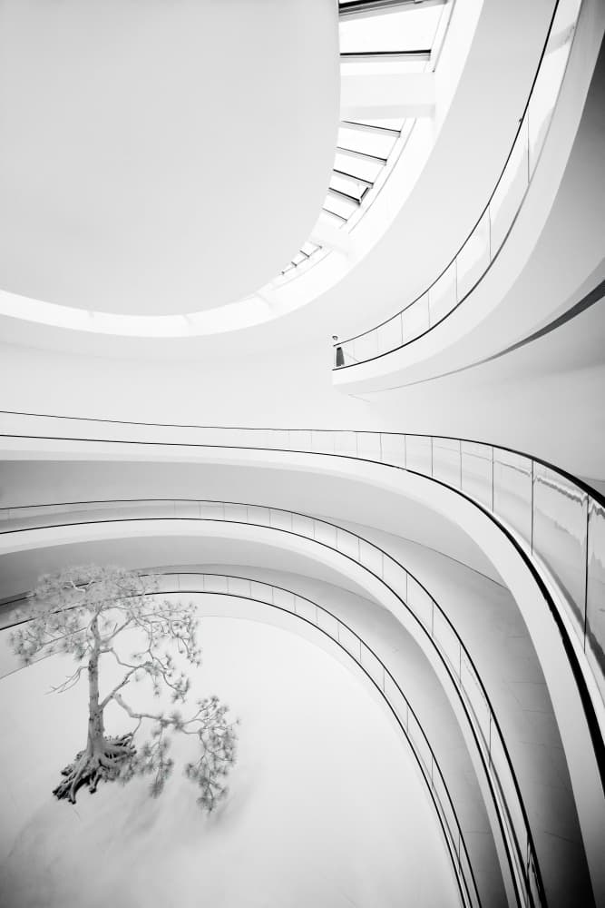 Elegant Architectural Curves by konglingming — canvas wall art